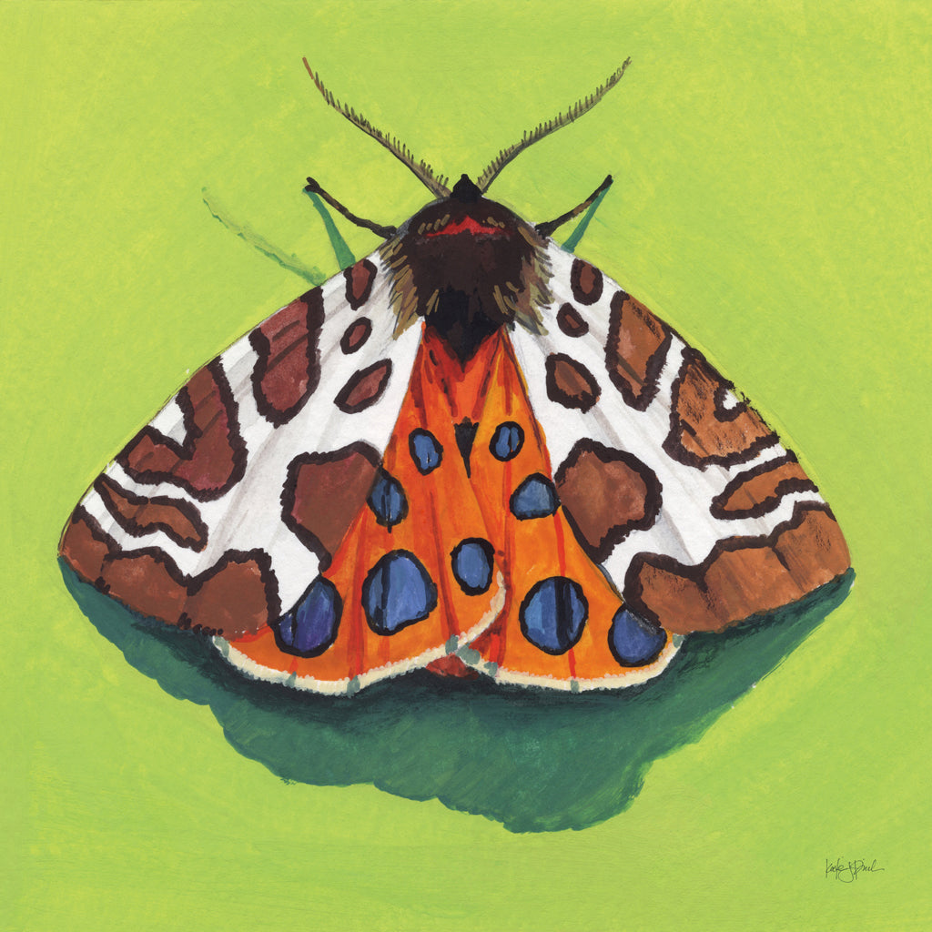Reproduction of Tiger Moth by Kate Jarvik Birch - Wall Decor Art