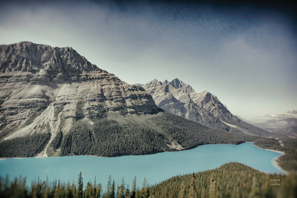 Reproduction of Peyto Lake by Nathan Larson - Wall Decor Art