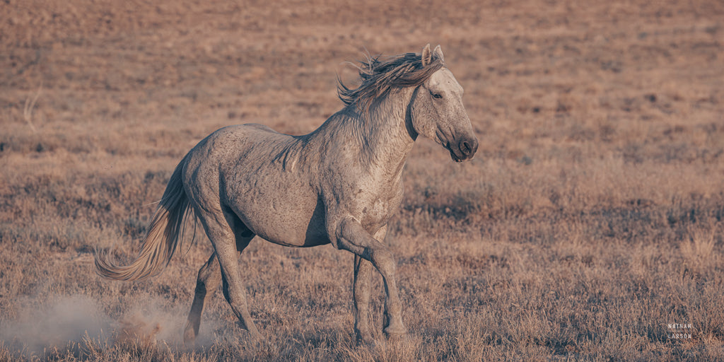 Reproduction of First Out Open Range by Nathan Larson - Wall Decor Art