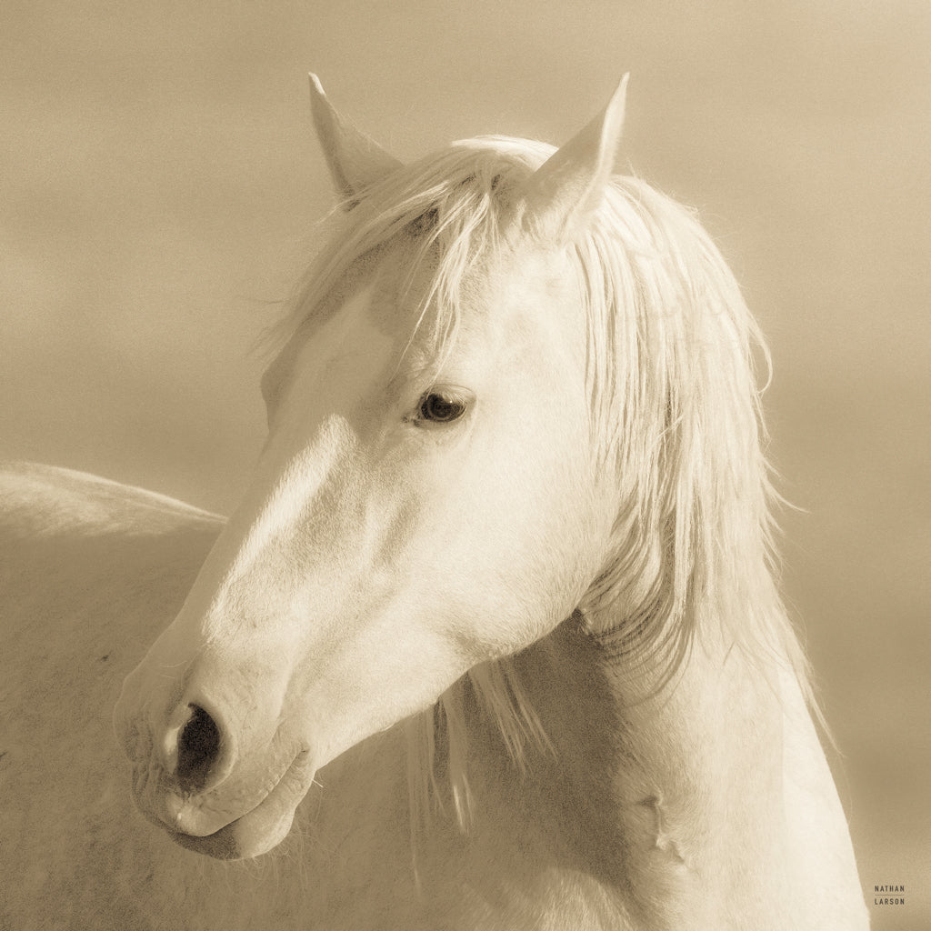 Reproduction of Protector by Nathan Larson - Wall Decor Art