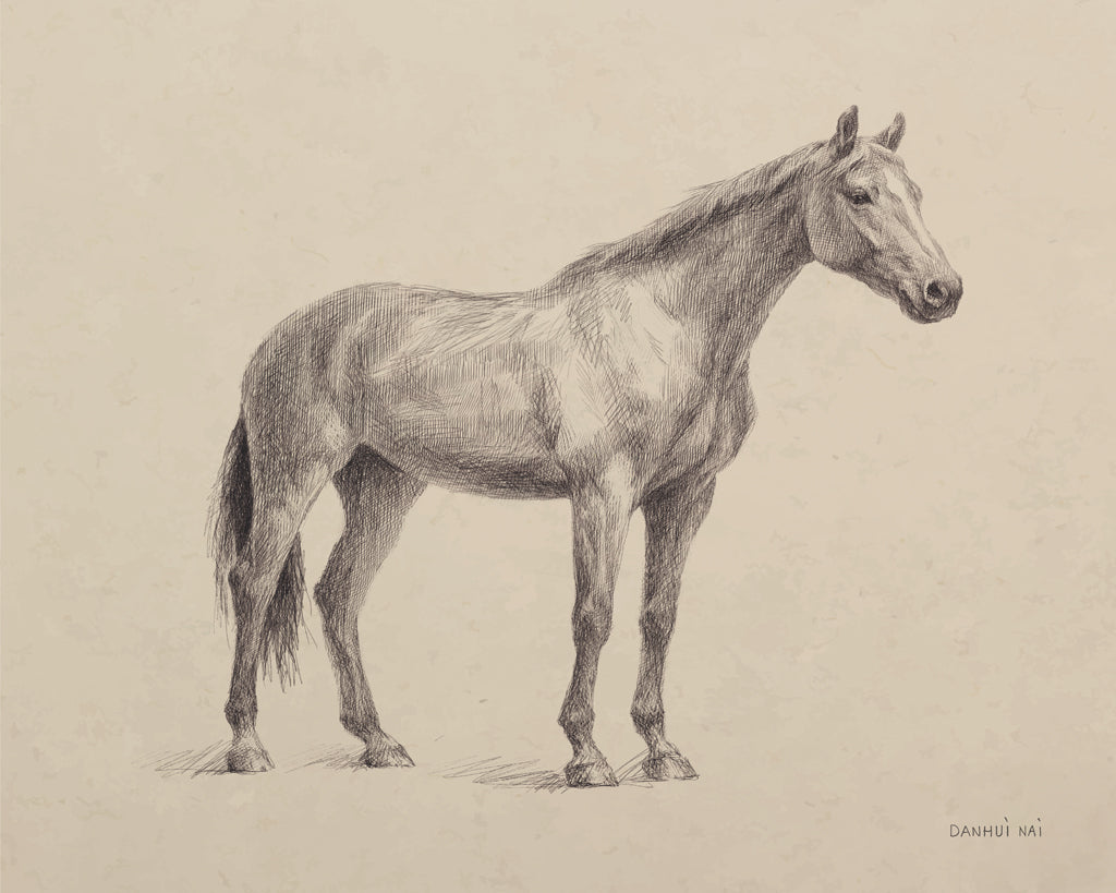 Reproduction of Standing Horse Sketch II by Danhui Nai - Wall Decor Art