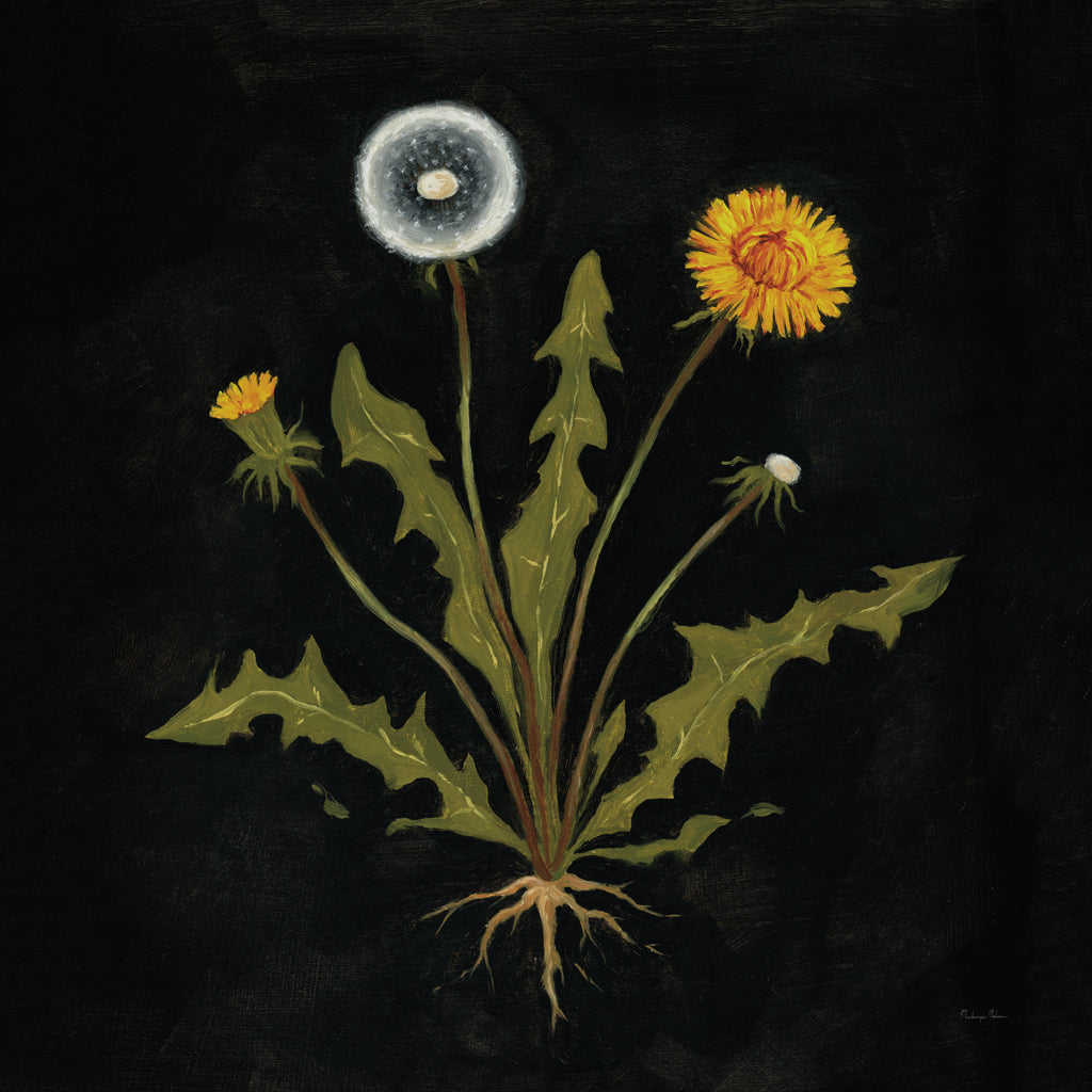Reproduction of Vintage Dandelion III by Mackenzie Nelson - Wall Decor Art