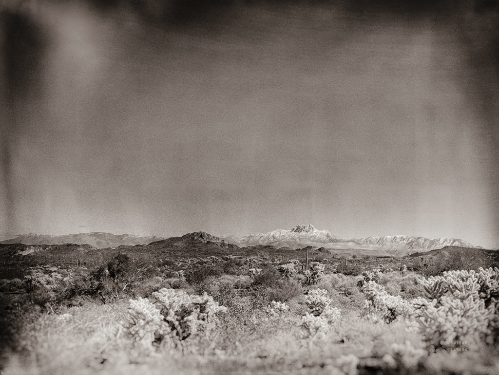 Reproduction of Apache Trail Arizona Sepia by Nathan Larson - Wall Decor Art