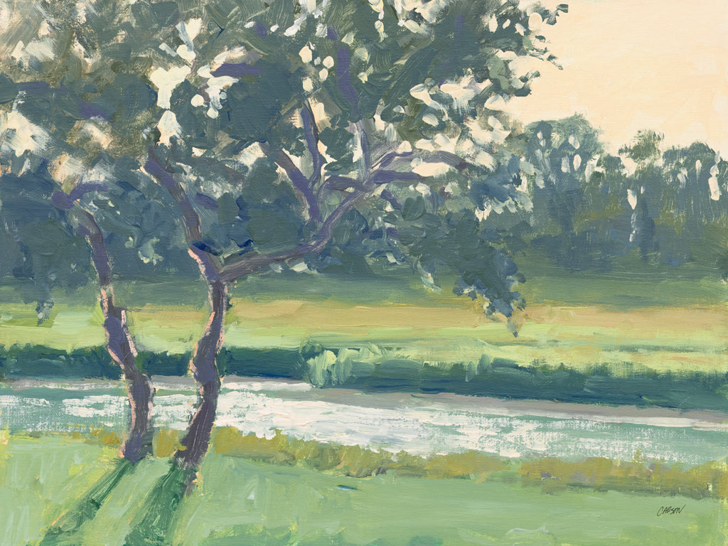 Reproduction of Shadows and Reflections by Carson Overstreet - Wall Decor Art