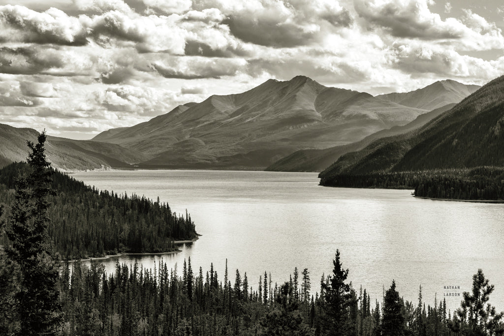 Reproduction of Water Curve BW by Nathan Larson - Wall Decor Art