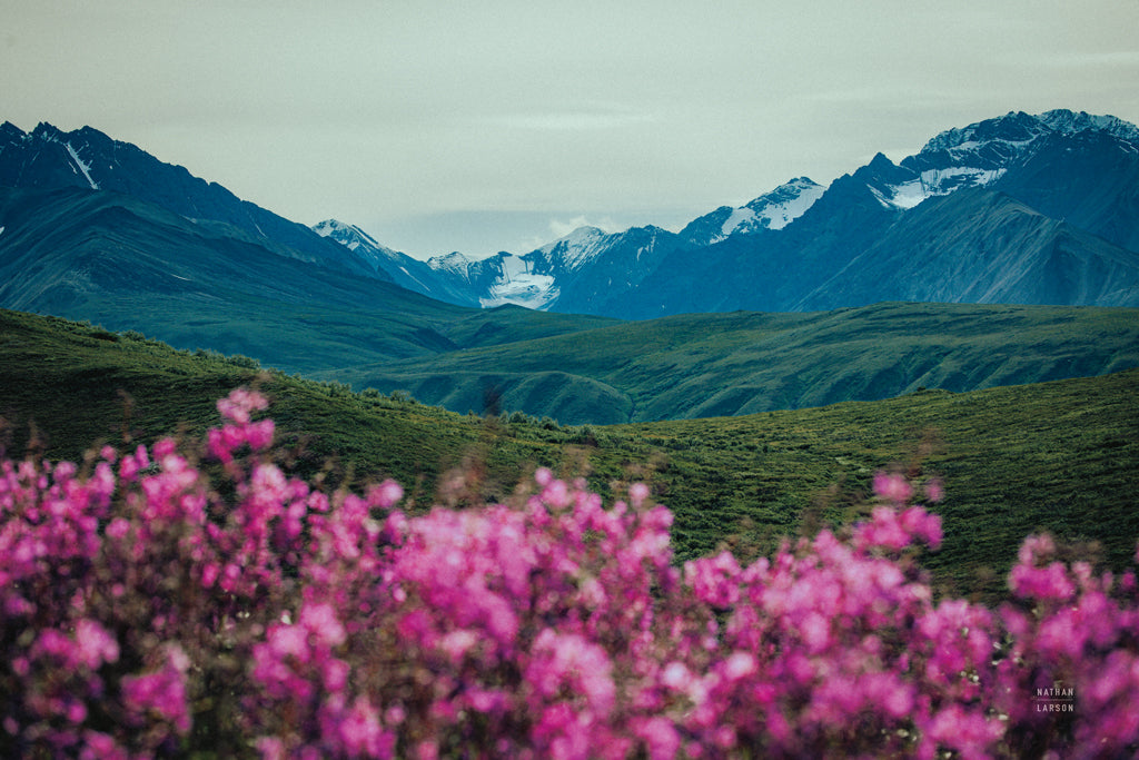 Reproduction of Alaskan Layers by Nathan Larson - Wall Decor Art