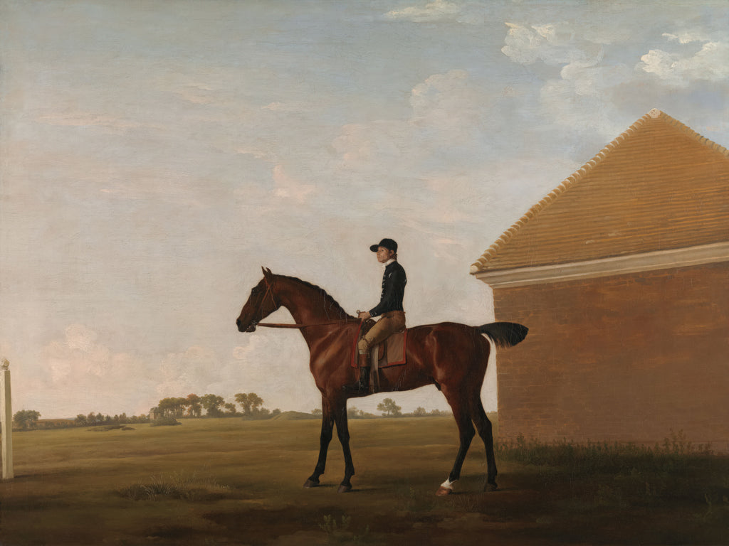 Reproduction of Turf With Jockey Newmarket by Wild Apple Portfolio - Wall Decor Art