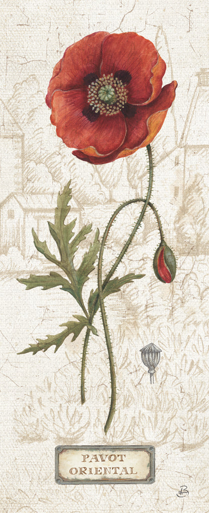 Reproduction of Royal Garden IV by Daphne Brissonnet - Wall Decor Art