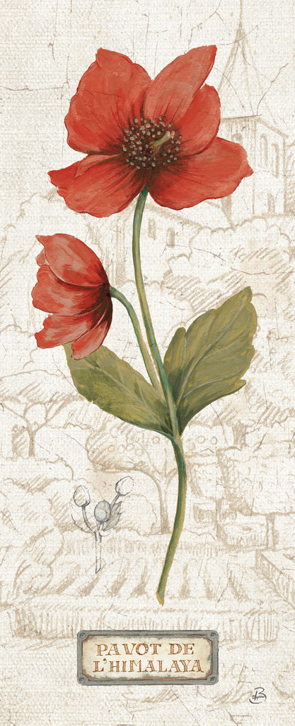 Reproduction of Royal Garden V by Daphne Brissonnet - Wall Decor Art