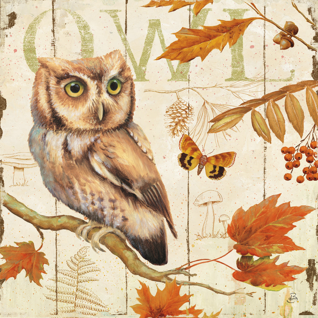 Reproduction of Owl Lodge I by Daphne Brissonnet - Wall Decor Art