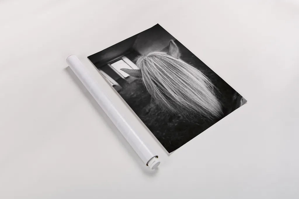 Beauty by Aledanda. shown as a rolled paper print. Available as archival giclee rolled canvas, fine art paper, or poster print. SKU 38294h.