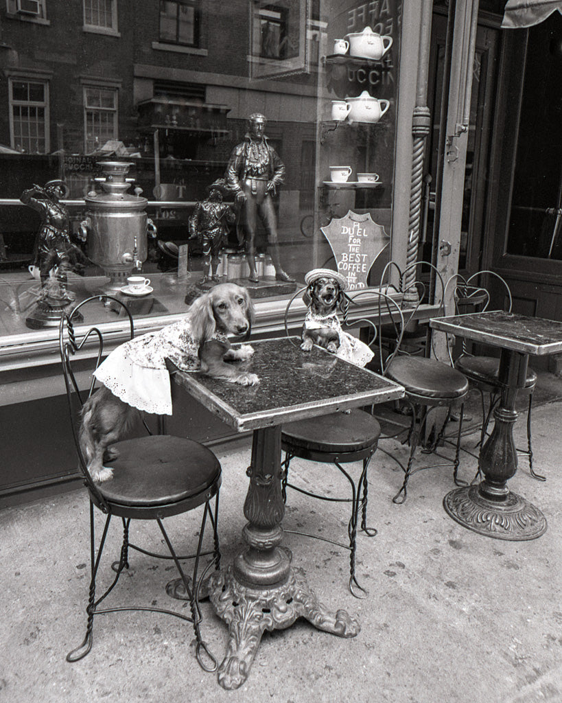 Reproduction of Barking at the Waiter by Jim Dratfield - Wall Decor Art