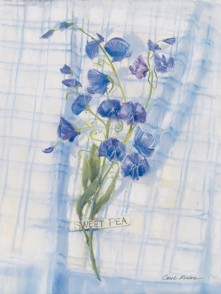 Reproduction of Sweet Pea on Linen by Carol Rowan - Wall Decor Art