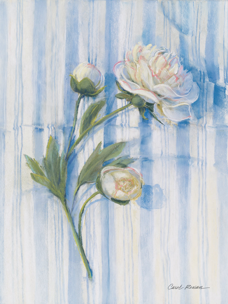 Reproduction of Peony on Blue Stripe by Carol Rowan - Wall Decor Art