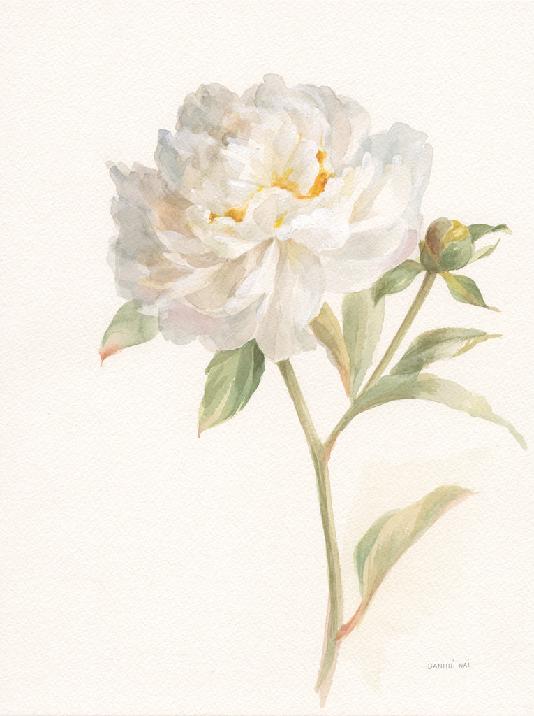 Reproduction of Garden Peony by Danhui Nai - Wall Decor Art