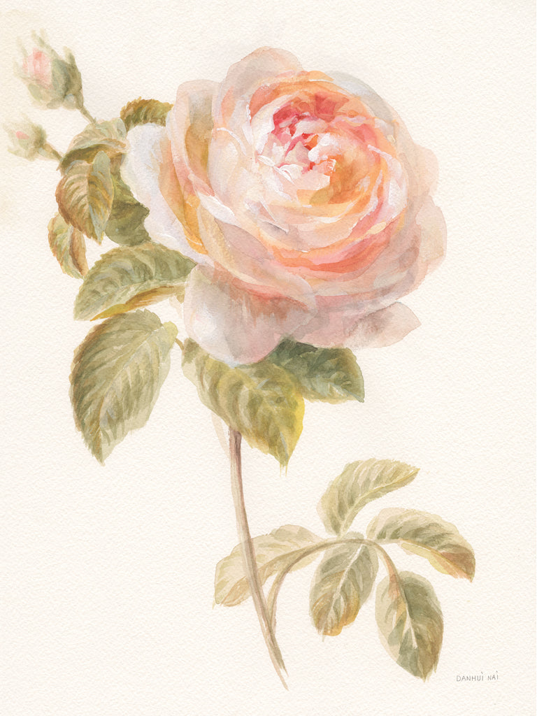 Reproduction of Garden Rose by Danhui Nai - Wall Decor Art
