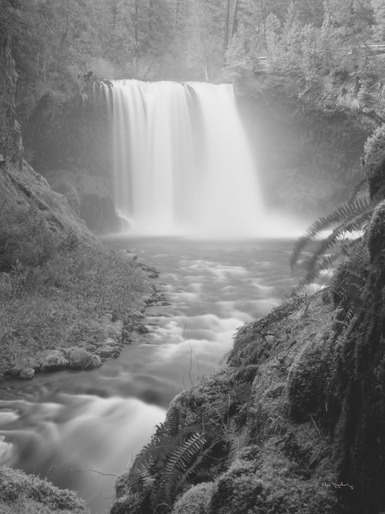Reproduction of Koosah Falls by Alan Majchrowicz - Wall Decor Art