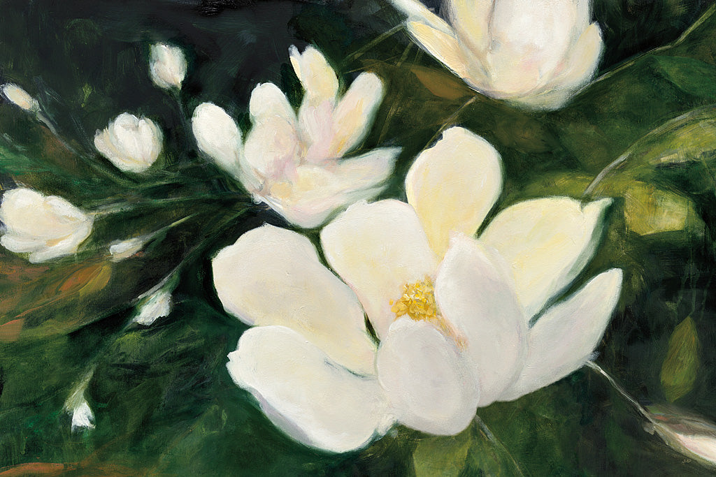 Reproduction of Magnolia Blooms Crop No Petal by Julia Purinton - Wall Decor Art