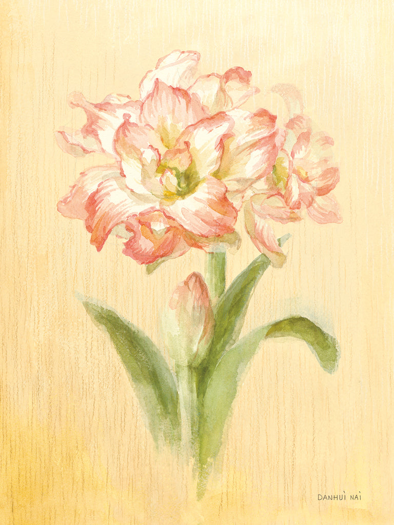 Reproduction of December Amaryllis by Danhui Nai - Wall Decor Art