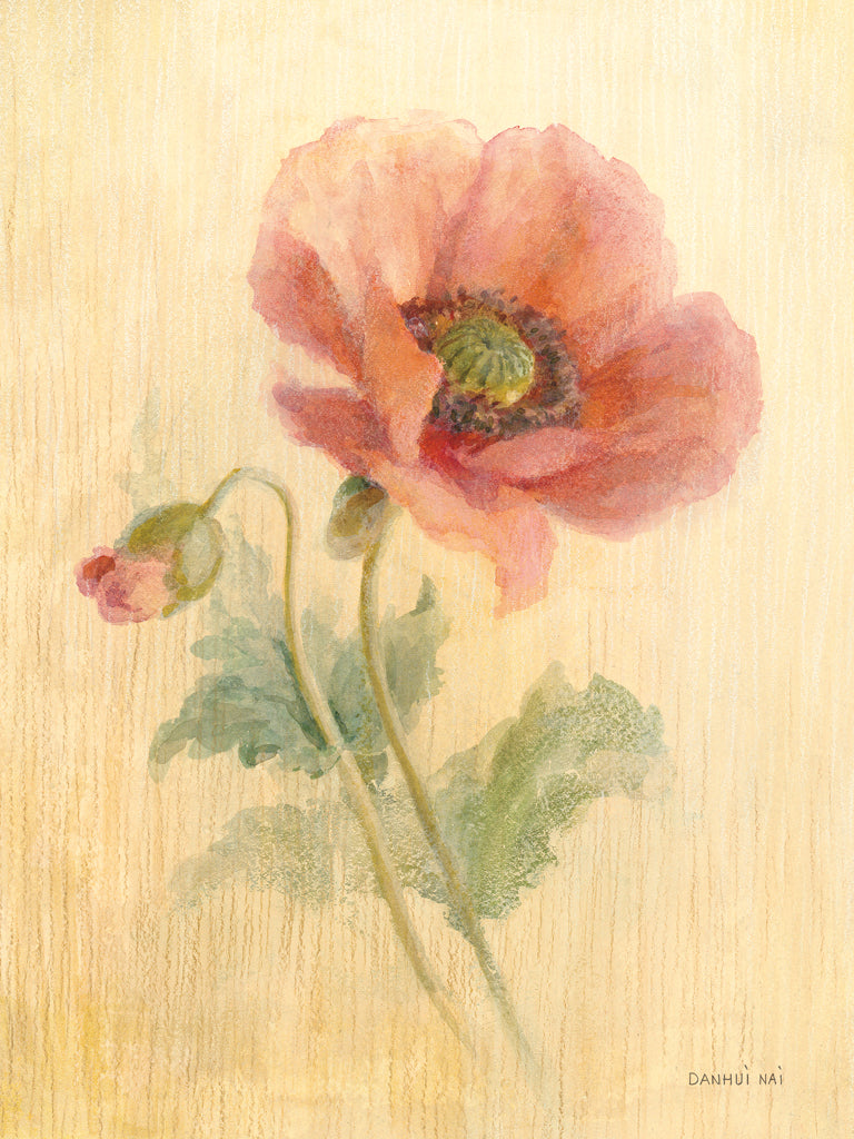 Reproduction of August Poppy by Danhui Nai - Wall Decor Art