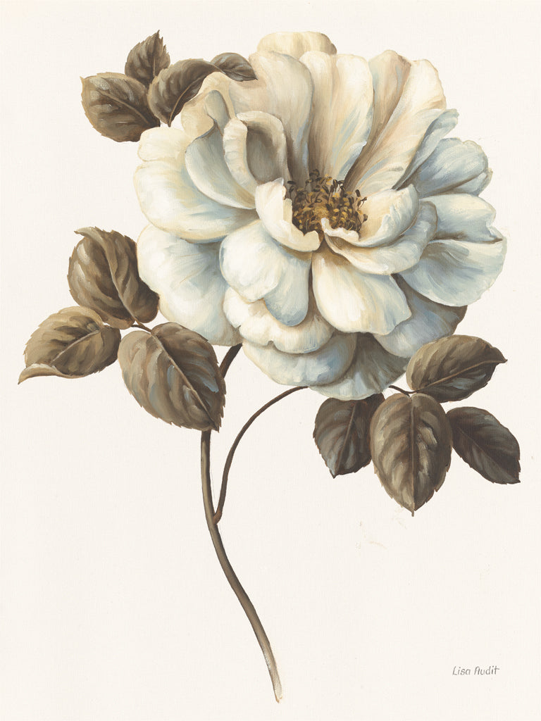 Reproduction of Floral Bliss Rose I by Lisa Audit - Wall Decor Art