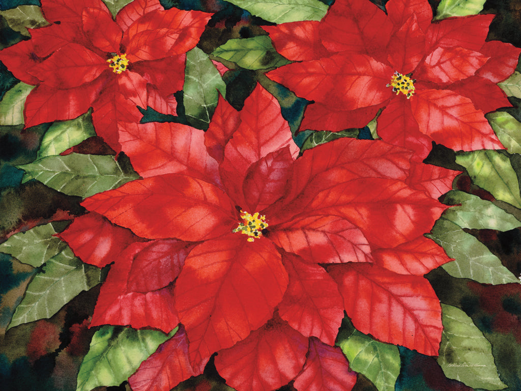 Reproduction of Red Poinsettia by Kathleen Parr McKenna - Wall Decor Art
