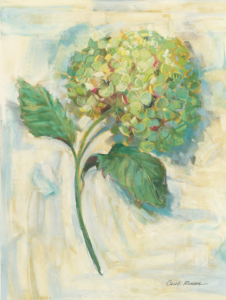 Reproduction of Green Hydrangea by Carol Rowan - Wall Decor Art