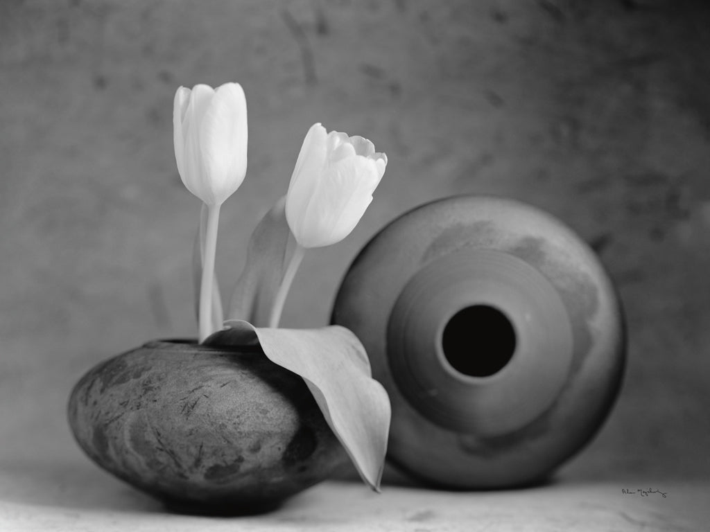 Reproduction of White Tulips and raku pots II by Alan Majchrowicz - Wall Decor Art