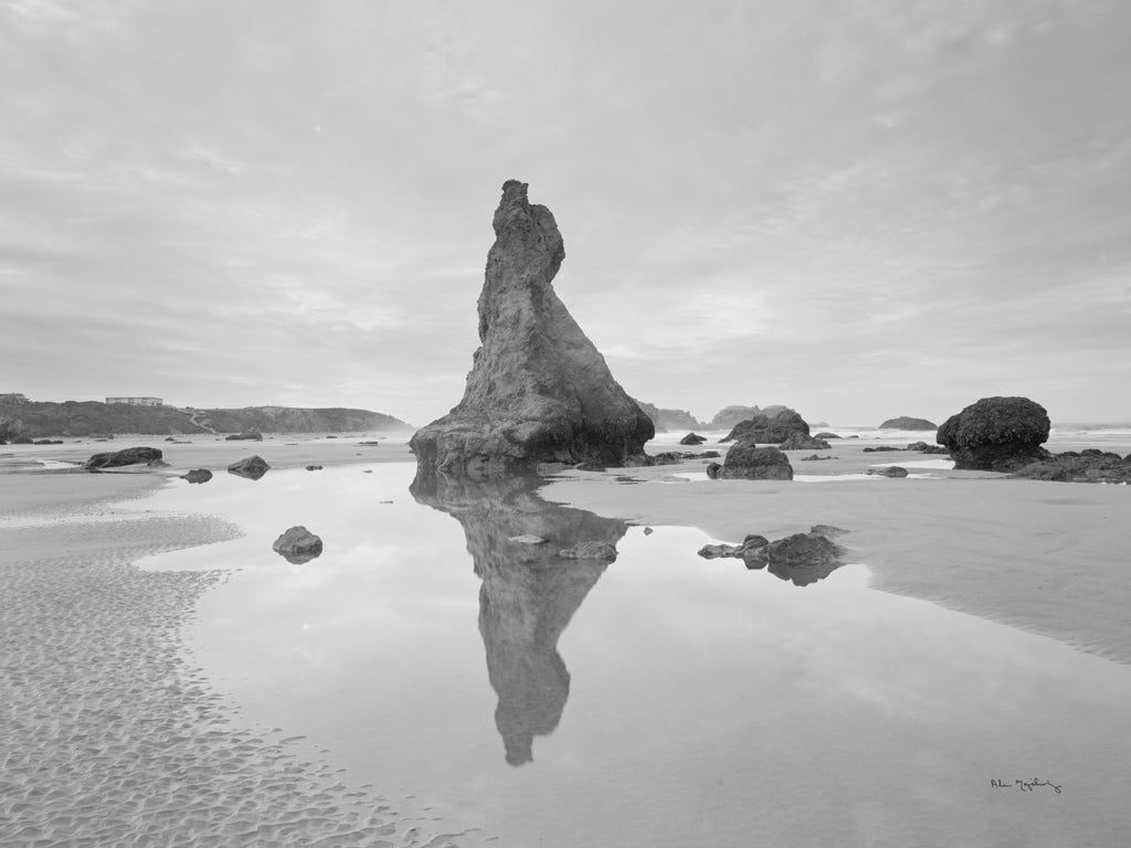 Reproduction of Bandon Needles by Alan Majchrowicz - Wall Decor Art