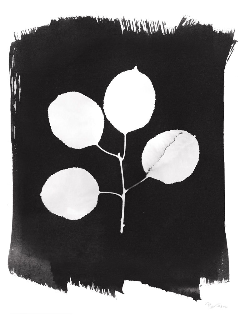 Reproduction of Nature by the Lake Leaves II Black by Piper Rhue - Wall Decor Art