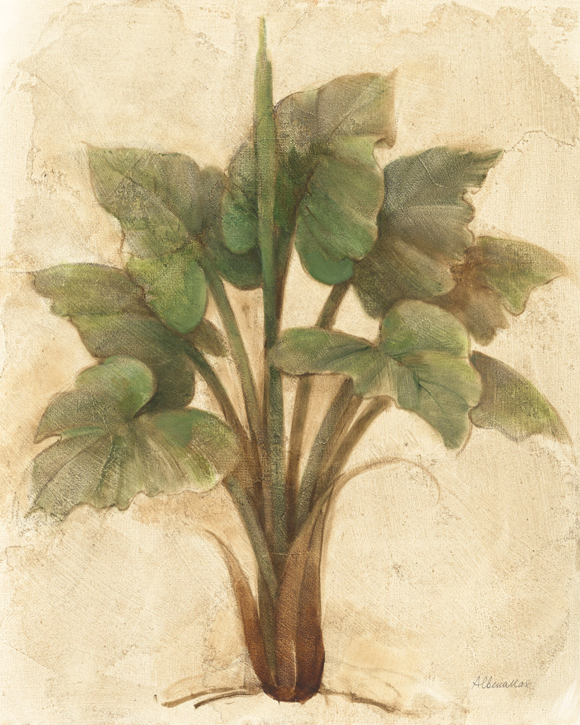 Reproduction of Palm III by Albena Hristova - Wall Decor Art