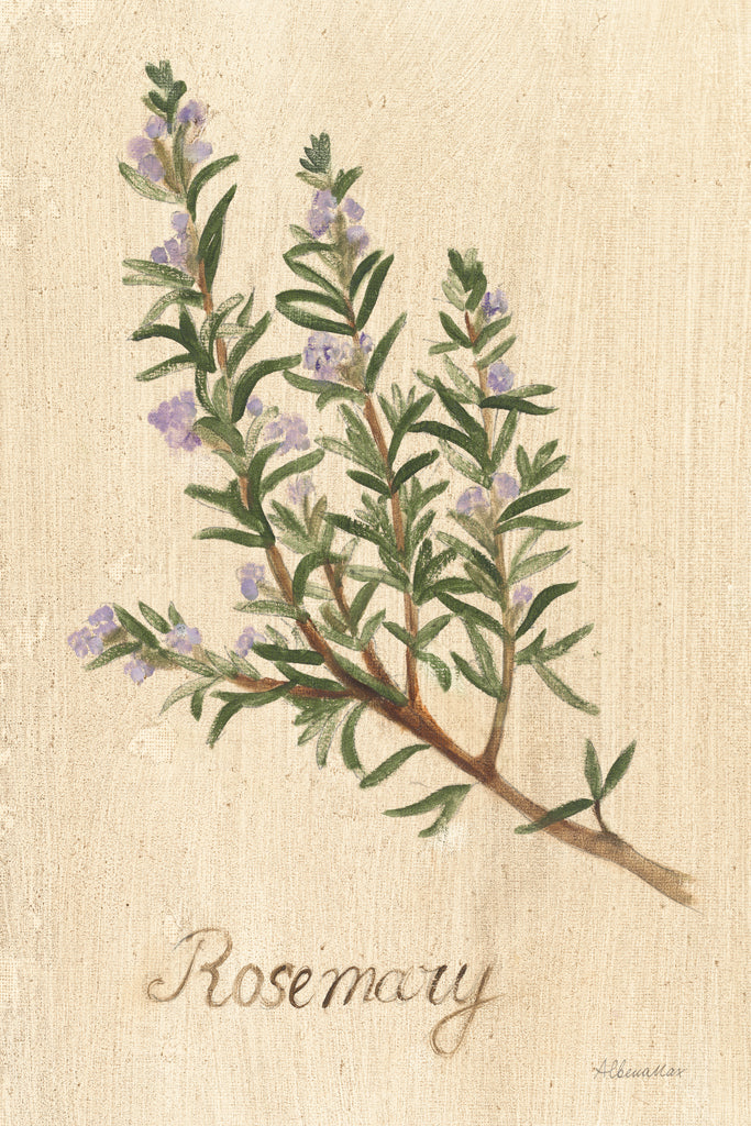 Reproduction of Rosemary by Albena Hristova - Wall Decor Art