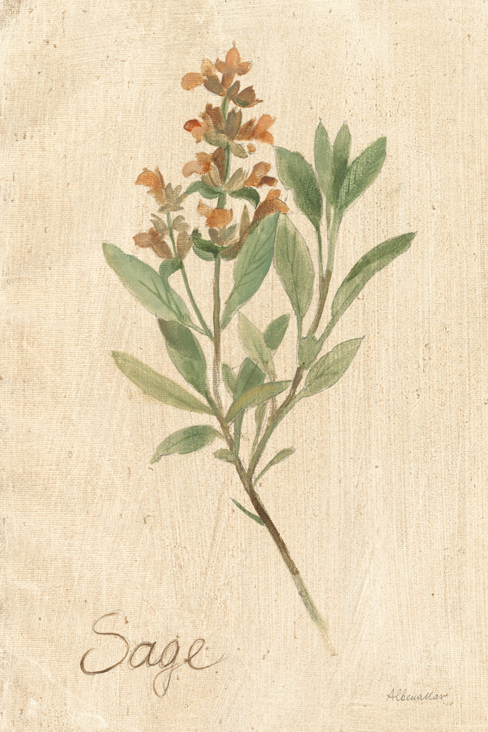 Reproduction of Sage by Albena Hristova - Wall Decor Art