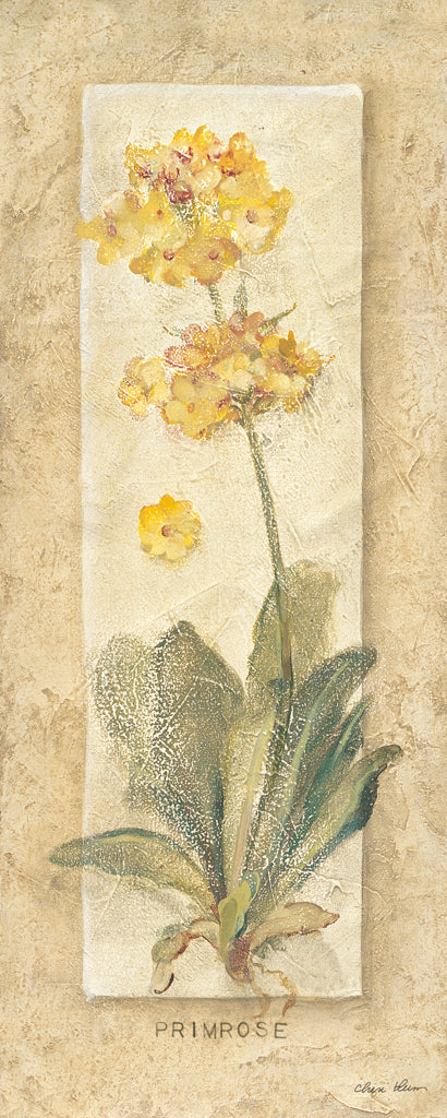 Reproduction of Primrose by Cheri Blum - Wall Decor Art