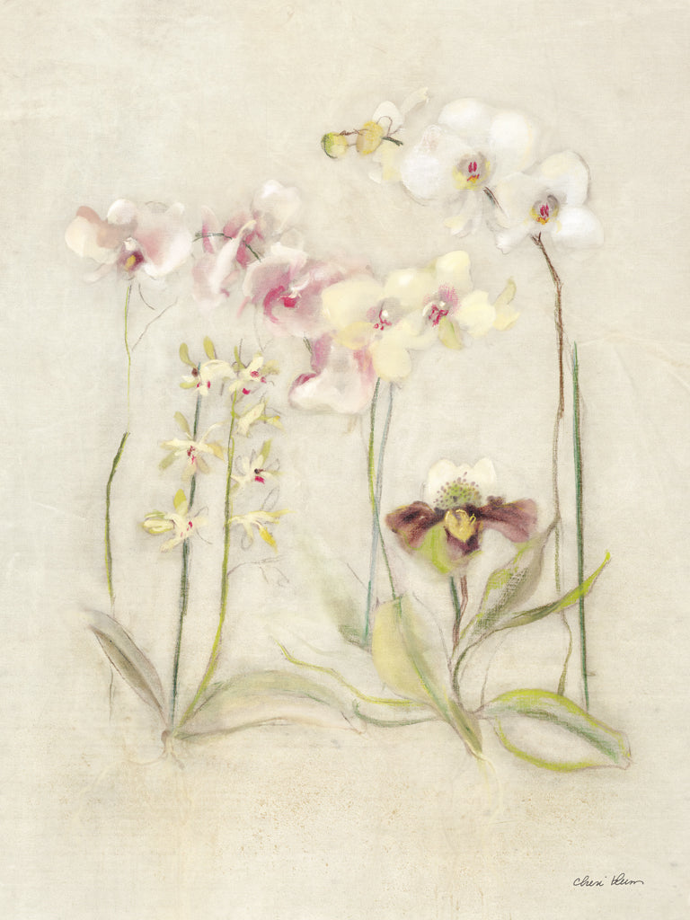 Orchids in Bloom II