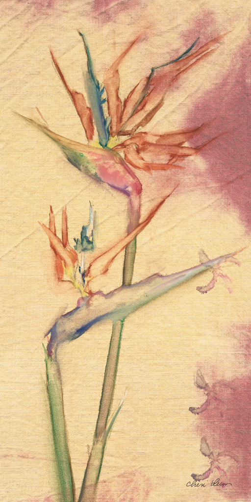 Reproduction of Tropical Floral II by Cheri Blum - Wall Decor Art