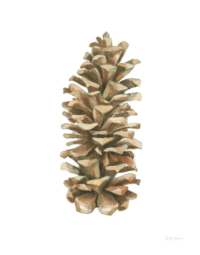Reproduction of Woodland Pinecone by Beth Grove - Wall Decor Art