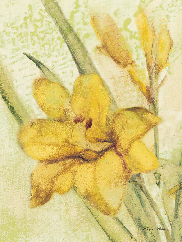 Reproduction of Yellow Day Lily by Cheri Blum - Wall Decor Art