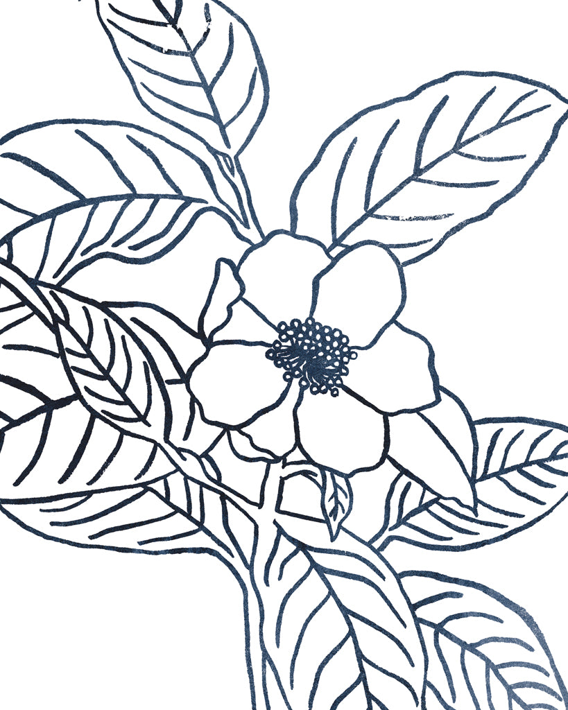 Reproduction of Indigo Blooms I on White by Wild Apple Portfolio - Wall Decor Art