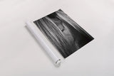 Shy by Aledanda. shown as a rolled paper print. Available as archival giclee rolled canvas, fine art paper, or poster print. SKU 38296h.