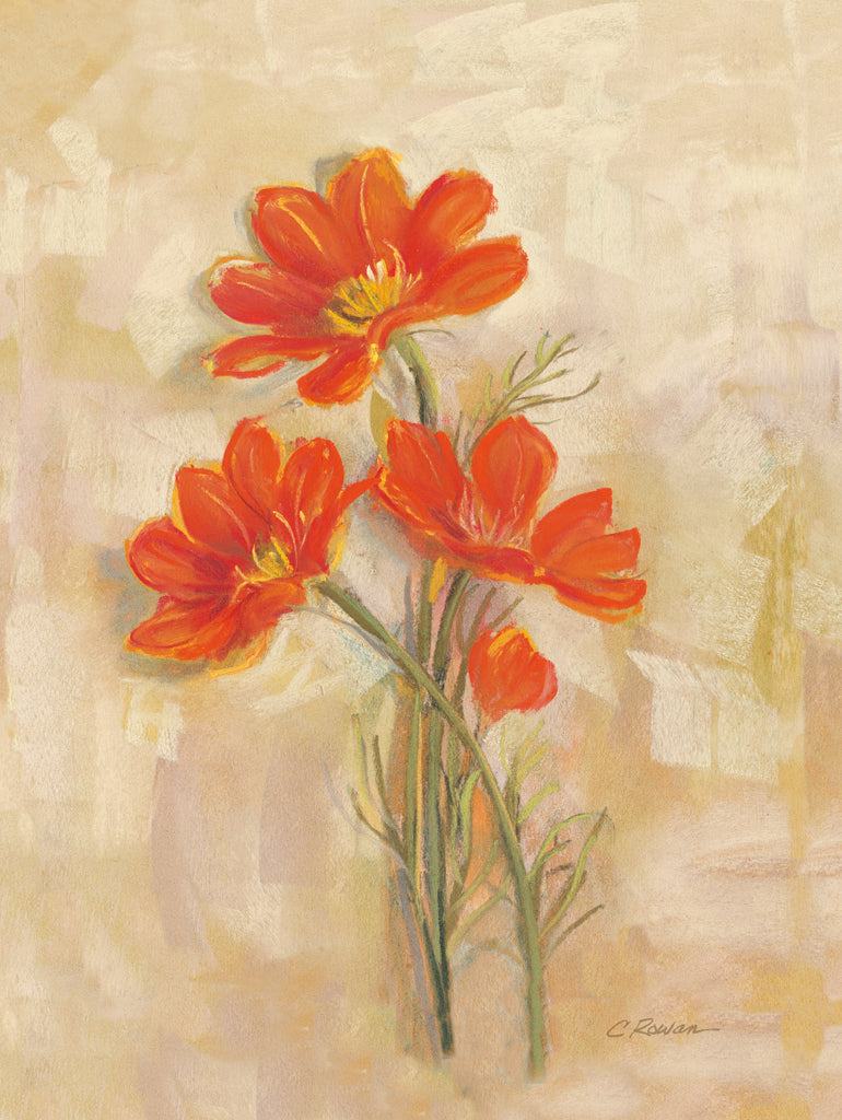 Reproduction of Spicy Orange Cosmos by Carol Rowan - Wall Decor Art