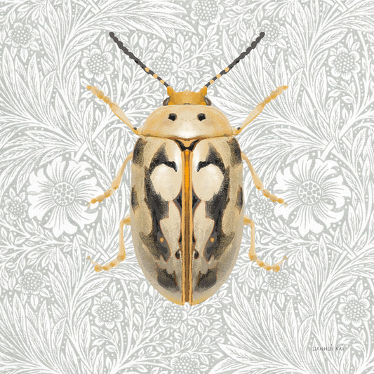 Beetles and Butterflies III