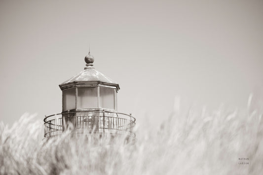 Oregon Coast Lighthouse Neutral