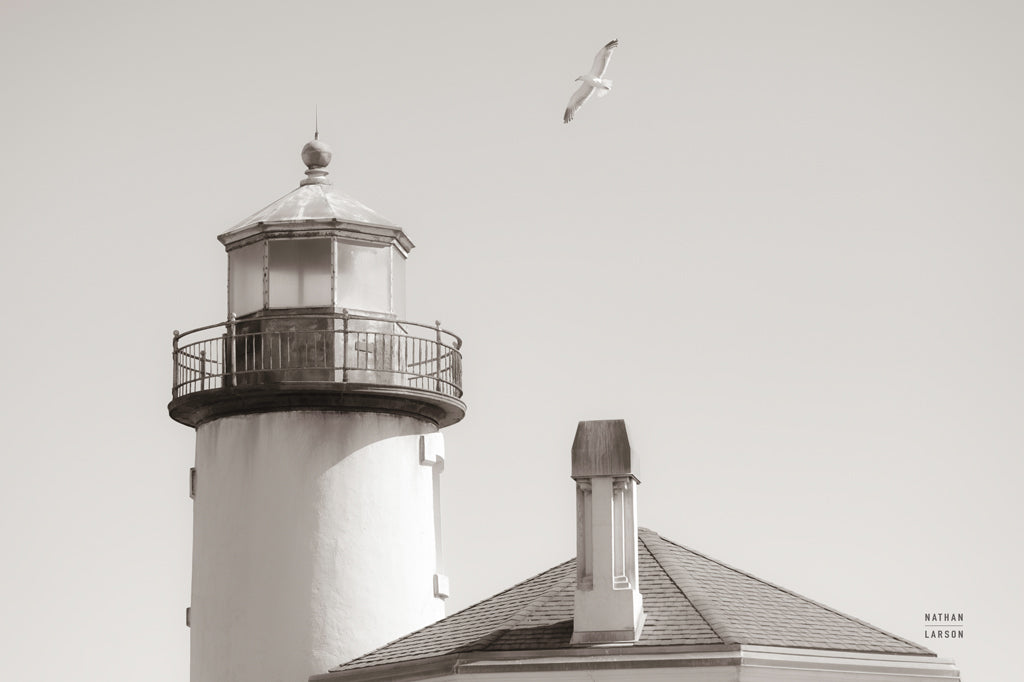Reproduction of Lighthouse Fly Over by Nathan Larson - Wall Decor Art