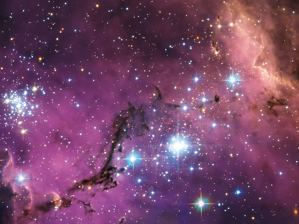 Reproduction of Hidden Treasure by Wild Apple Portfolio - Wall Decor Art