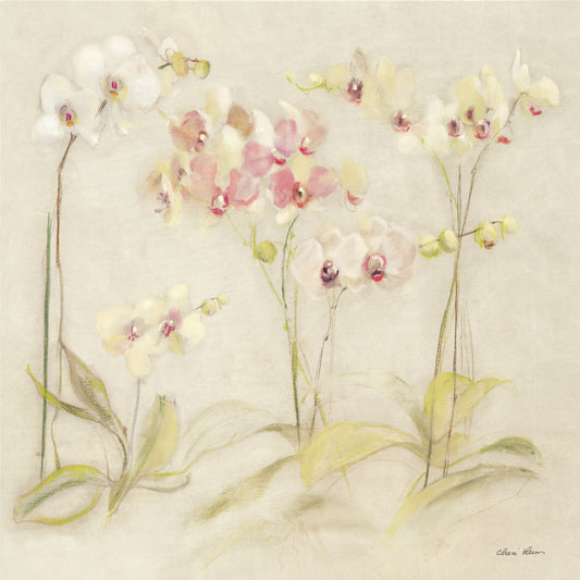 The Dance of the Orchids I
