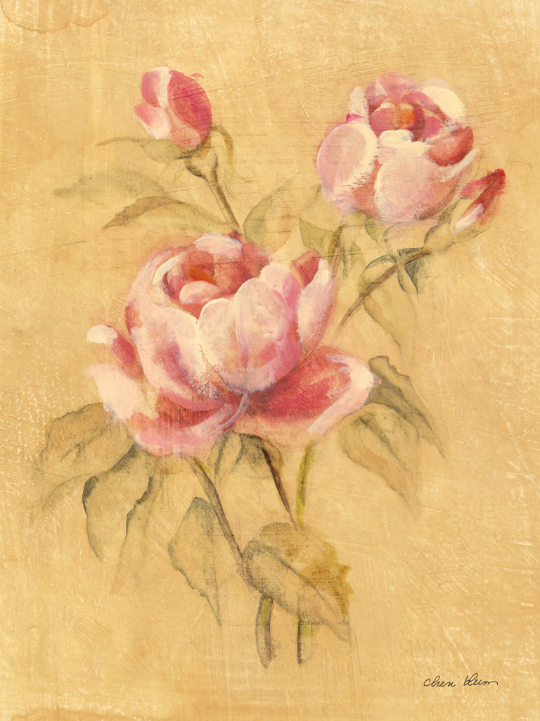 Reproduction of Rose II by Cheri Blum - Wall Decor Art