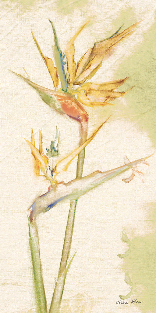 Reproduction of Tropical Floral II Light by Cheri Blum - Wall Decor Art