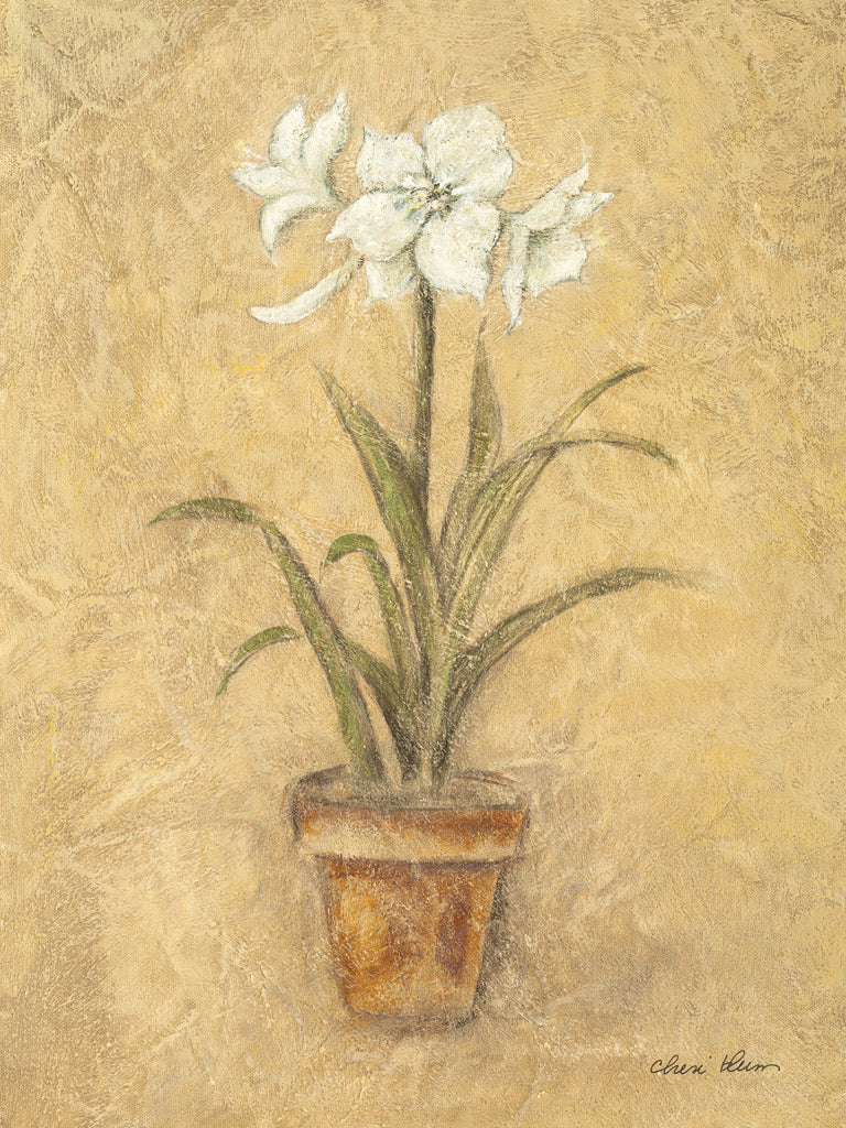 White Amaryllis I