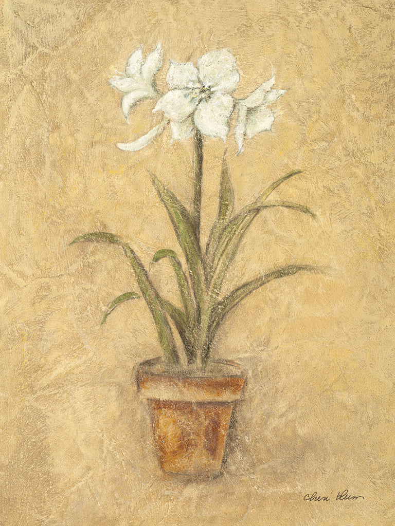 Reproduction of White Amaryllis I by Cheri Blum - Wall Decor Art